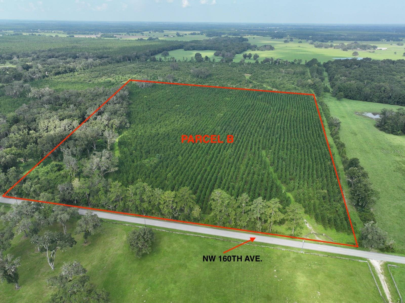 Parcel B NW 160TH AVE, Morriston, FL 32668