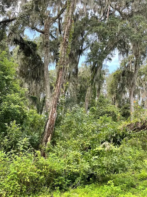 Morriston, FL 32668,Parcel B NW 160TH AVE