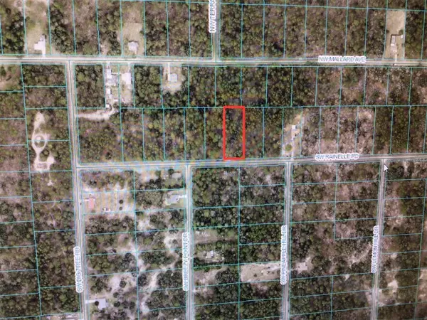 Dunnellon, FL 34431,0 SW RAINELLE ROAD