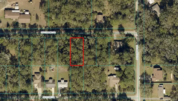 Dunnellon, FL 34431,SW STARLING DR