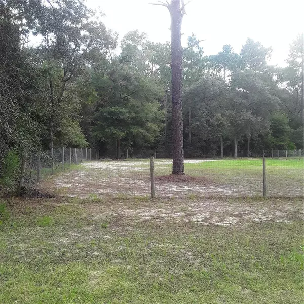 Ocala, FL 34481,SW 157 TER