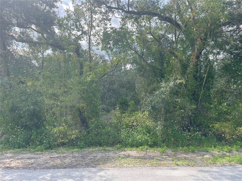 00000 NW MALLARD AVE, Dunnellon, FL 34431