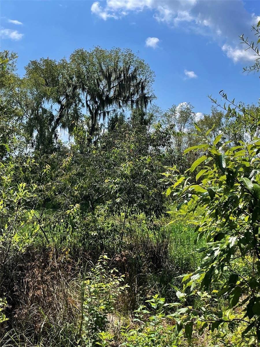 Morriston, FL 32668,Parcel D NW 160TH AVE