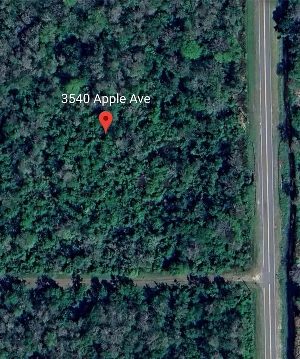 Bunnell, FL 32110,3540 APPLE AVE