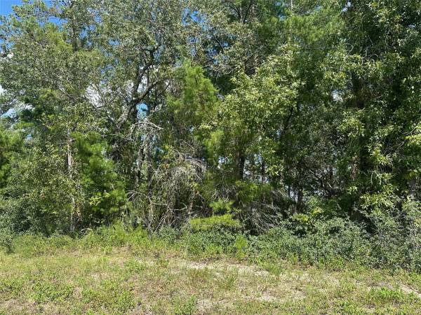 TBD SW 46TH CIR, Ocala, FL 34473