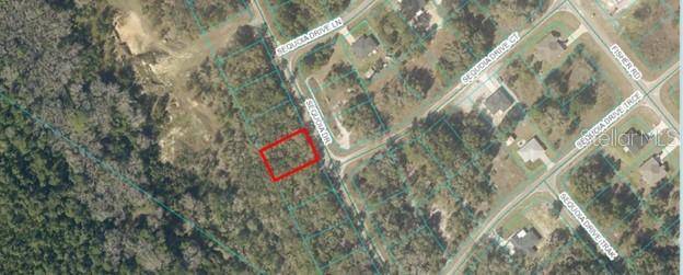 Ocklawaha, FL 32179,00 SEQUIOA DR