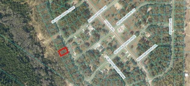 00 SEQUIOA DR, Ocklawaha, FL 32179