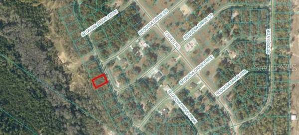 00 SEQUIOA DR, Ocklawaha, FL 32179
