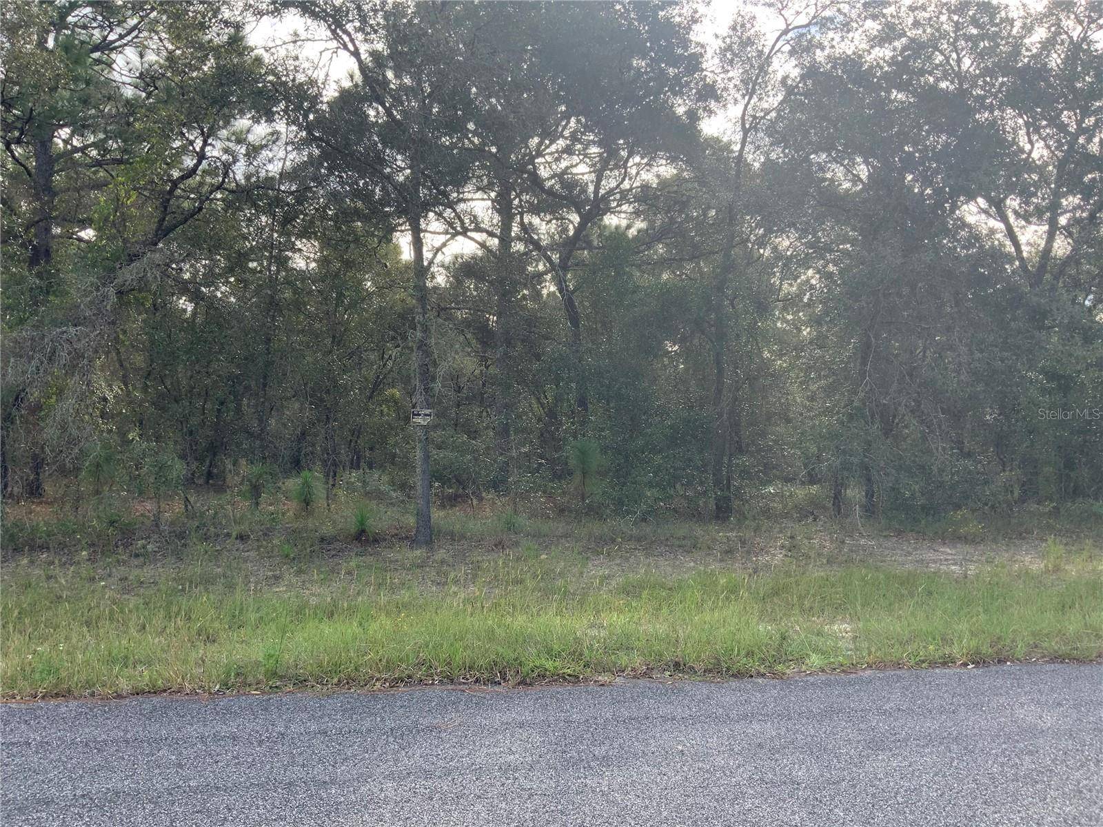 Morriston, FL 32668,00 SE 139TH TERR LOT 11