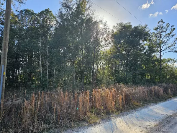 15100 SW 28TH LN, Ocala, FL 34481