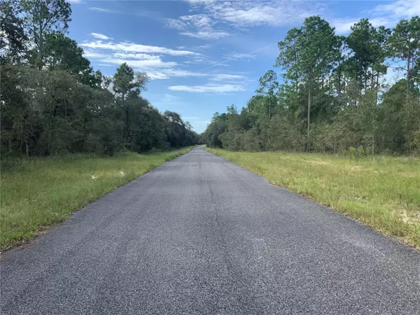 Morriston, FL 32668,SE 139TH TER LOT 19