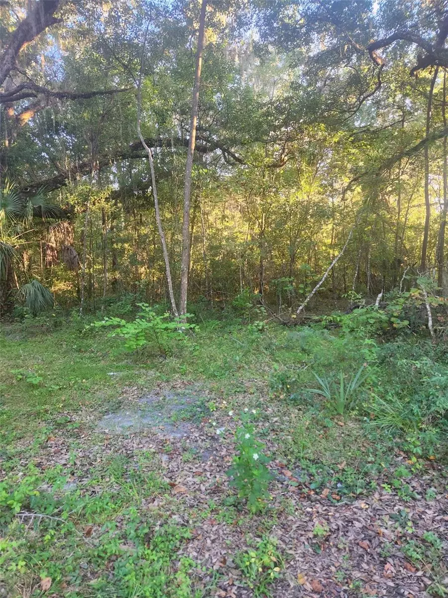 Ocala, FL 34480,TBD SE 75TH STREET