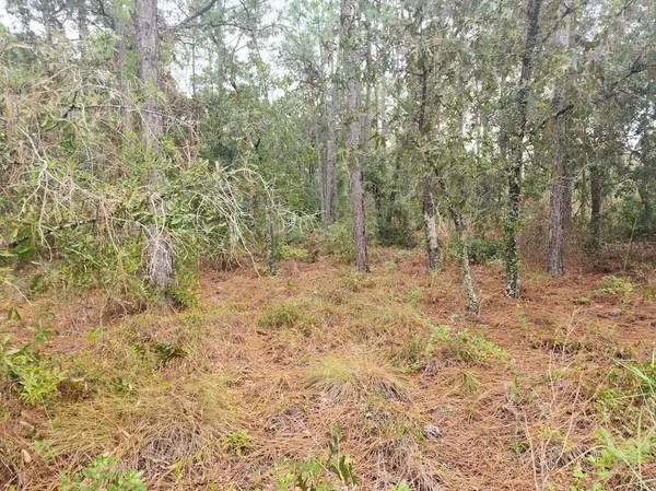 Dunnellon, FL 34432,SW 125TH CT RD