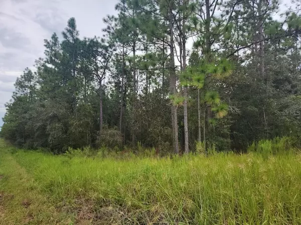 Dunnellon, FL 34432,SW 125TH CT RD