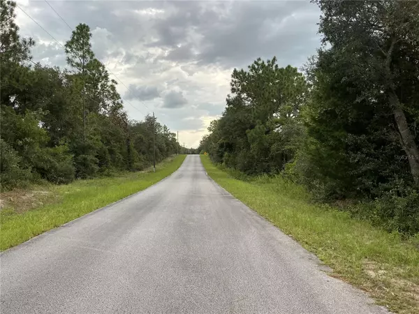 Dunnellon, FL 34431,SW JONQUIL CT