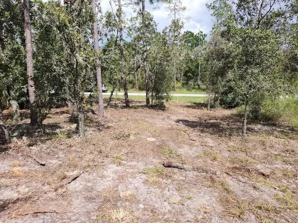 Dunnellon, FL 34431,SW WISTERIA CT