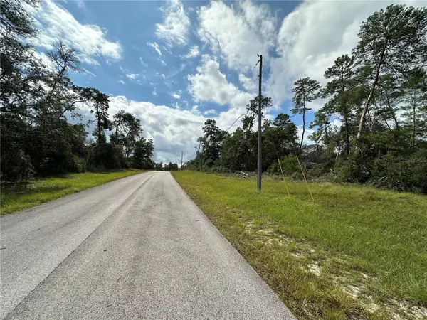 Ocala, FL 34473,0 SW 175TH LOOP