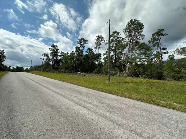 Ocala, FL 34473,0 SW 175TH LOOP