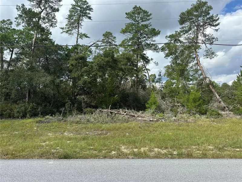 0 SW 175TH LOOP, Ocala, FL 34473