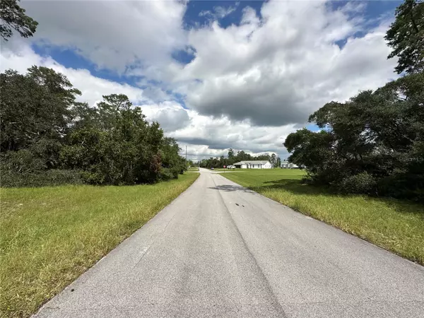 Ocala, FL 34473,0 SW 175TH LOOP