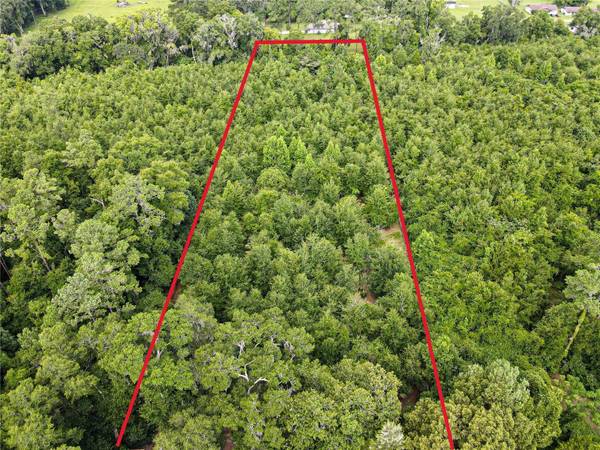 TBD SE 122ND PL,  Belleview,  FL 34420