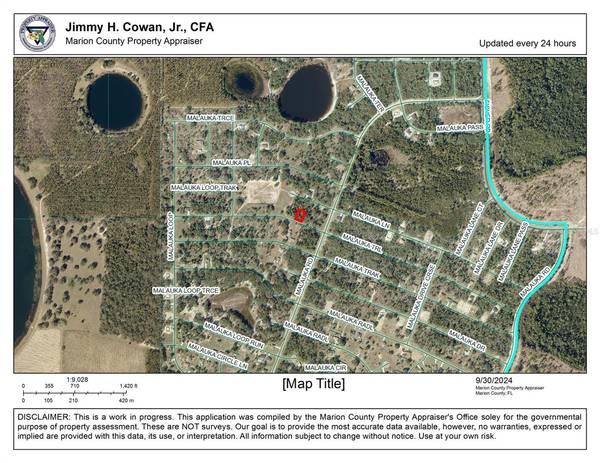 TBD MALAUKA TRL, Ocklawaha, FL 32179