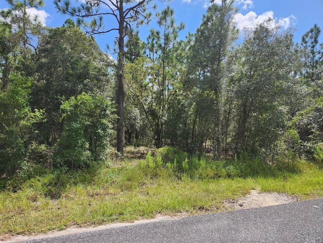 Dunnellon, FL 34432,SW MANGO LN