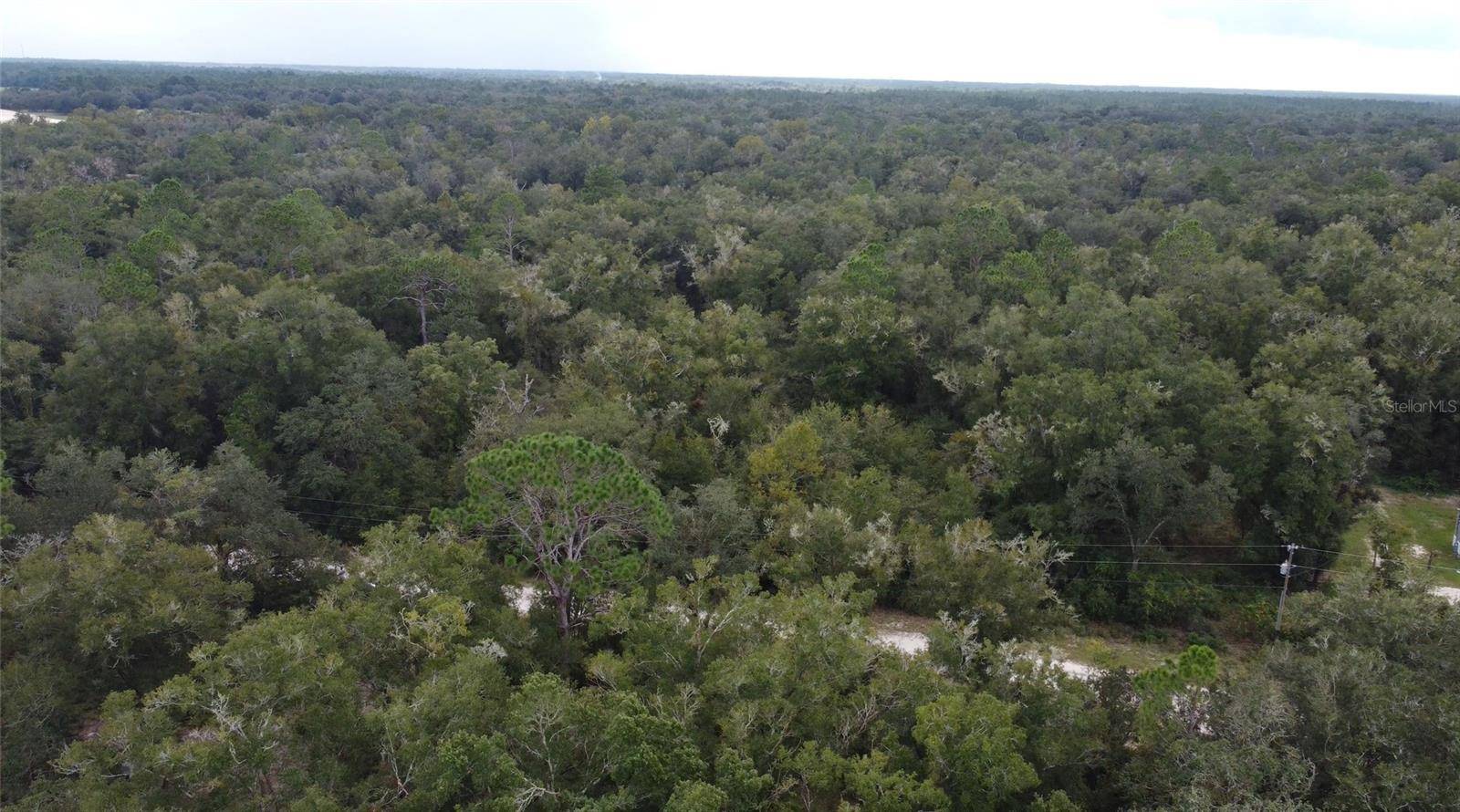 Bronson, FL 32621,TBD NE 127TH PL