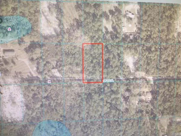 Dunnellon, FL 34432,0 SW 152 PLACE