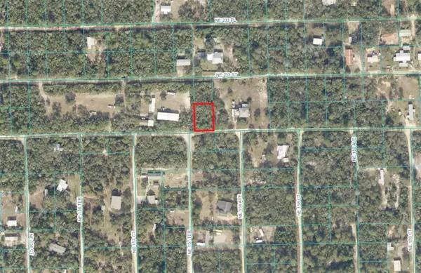 TBD NE 232ND LN, Fort Mc Coy, FL 32134