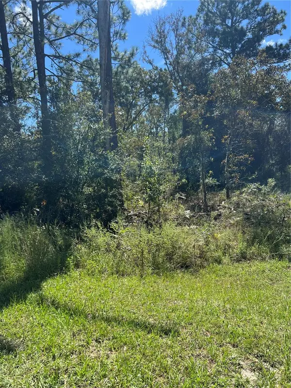 Dunnellon, FL 34432,0 SW 93RD ST