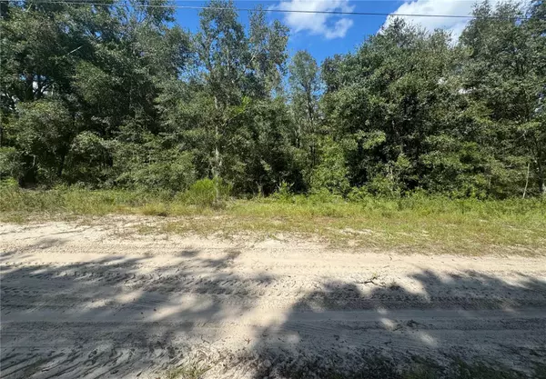 Bronson, FL 32621,000 NE 118TH LN