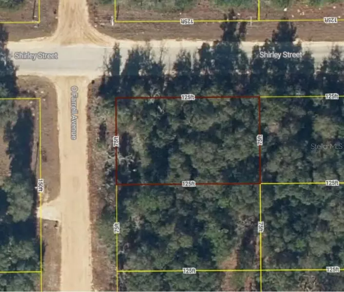 Lot 1 O'FARRELL AVE, Interlachen, FL 32148