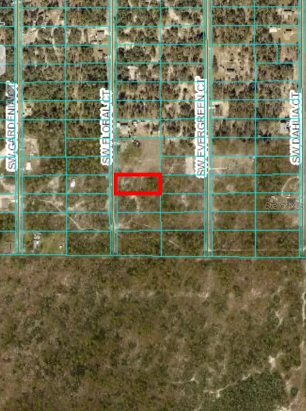 lot 21 SW FLORAL CT, Dunnellon, FL 34431