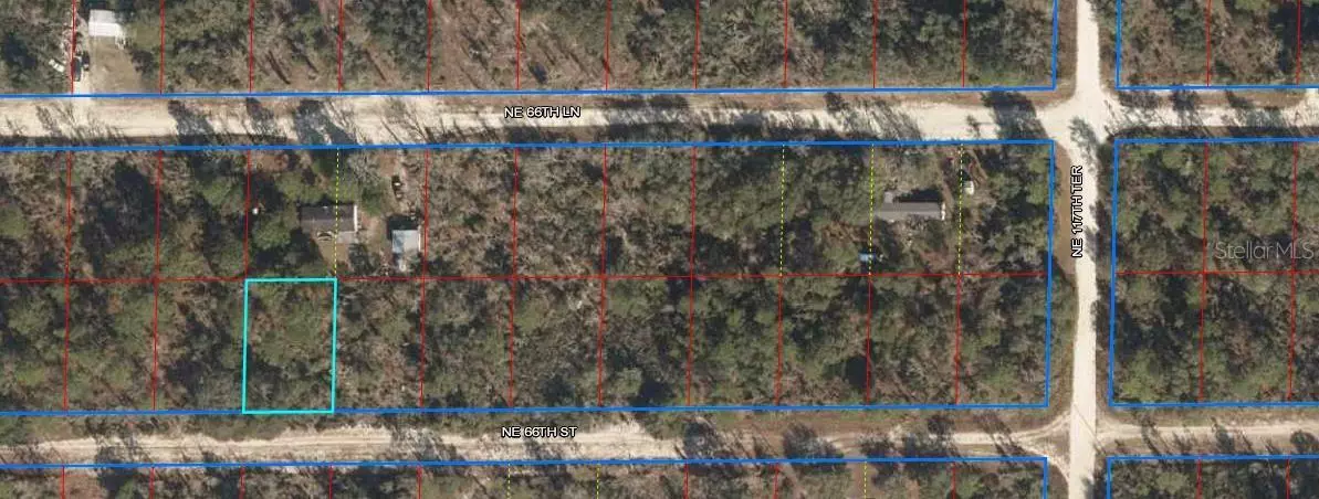 00 NE 66TH ST, Williston, FL 32696