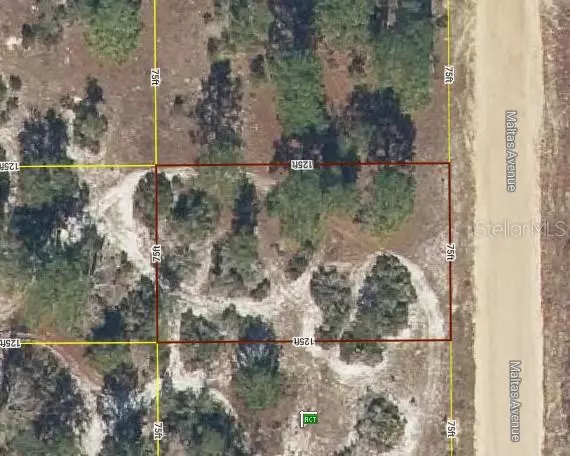 Interlachen, FL 32148,Lot 23 MALTAS AVE