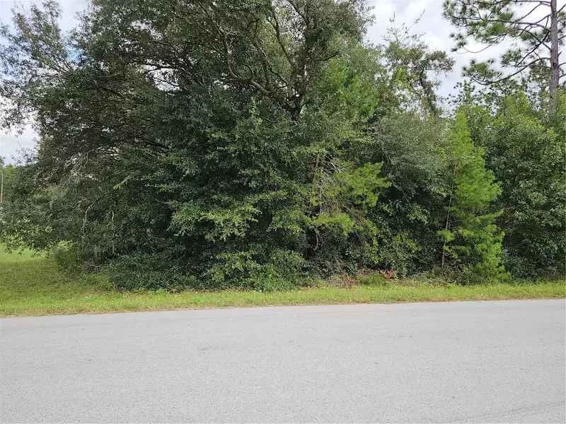 Lot 13 SW 156TH CT, Ocala, FL 34481