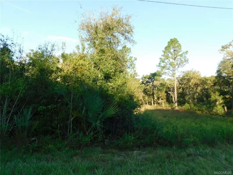 11708 N BELLUZZI TER, Dunnellon, FL 34433