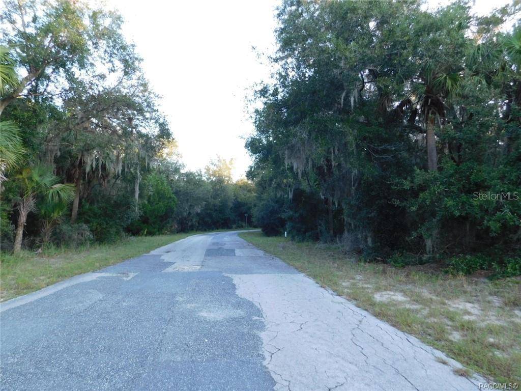 Dunnellon, FL 34433,11917 N CAPTIVA TER