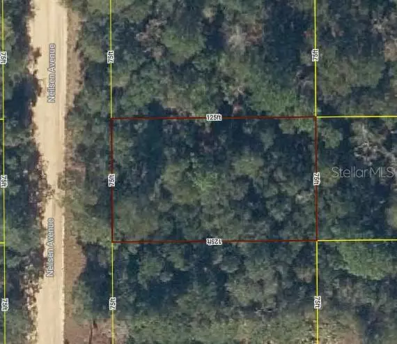 Lot 17 NEILSEN AVE, Interlachen, FL 32148