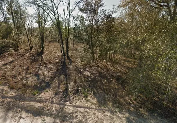 Morriston, FL 32668,TBD SE 71ST PL