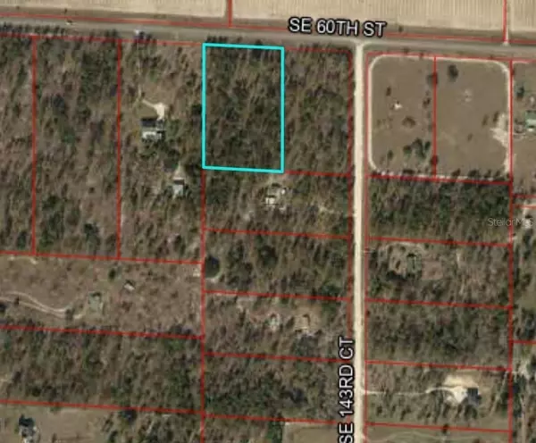 Morriston, FL 32668,SE 60TH ST