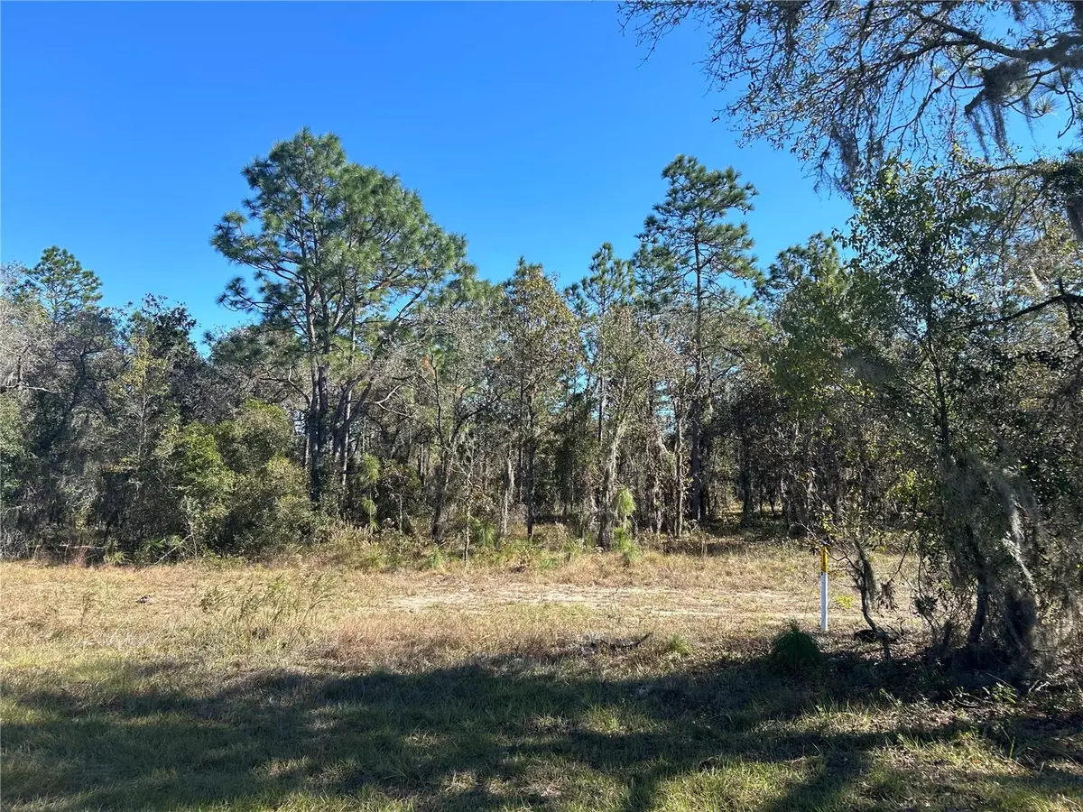 Morriston, FL 32668,SE SR 121