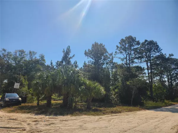 Belleview, FL 34420,Lot 28 SE 102ND TER