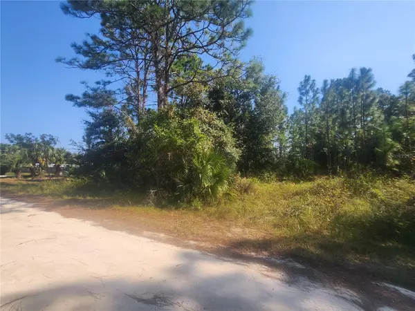 Belleview, FL 34420,Lot 28 SE 102ND TER