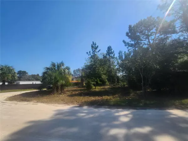 Belleview, FL 34420,Lot 28 SE 102ND TER