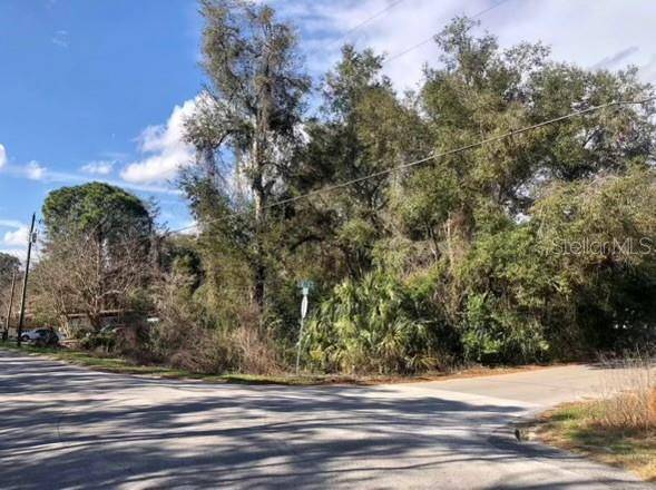 Ocklawaha, FL 32179,TBD SE 109TH TER