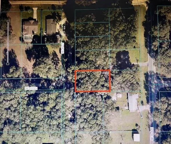 Summerfield, FL 34491,13973 SE 35TH CT