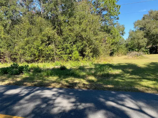 Dunnellon, FL 34431,Lot 69 SW BEACH BLVD