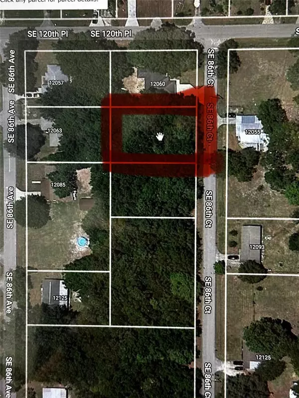 Belleview, FL 34420,SE 86TH CT